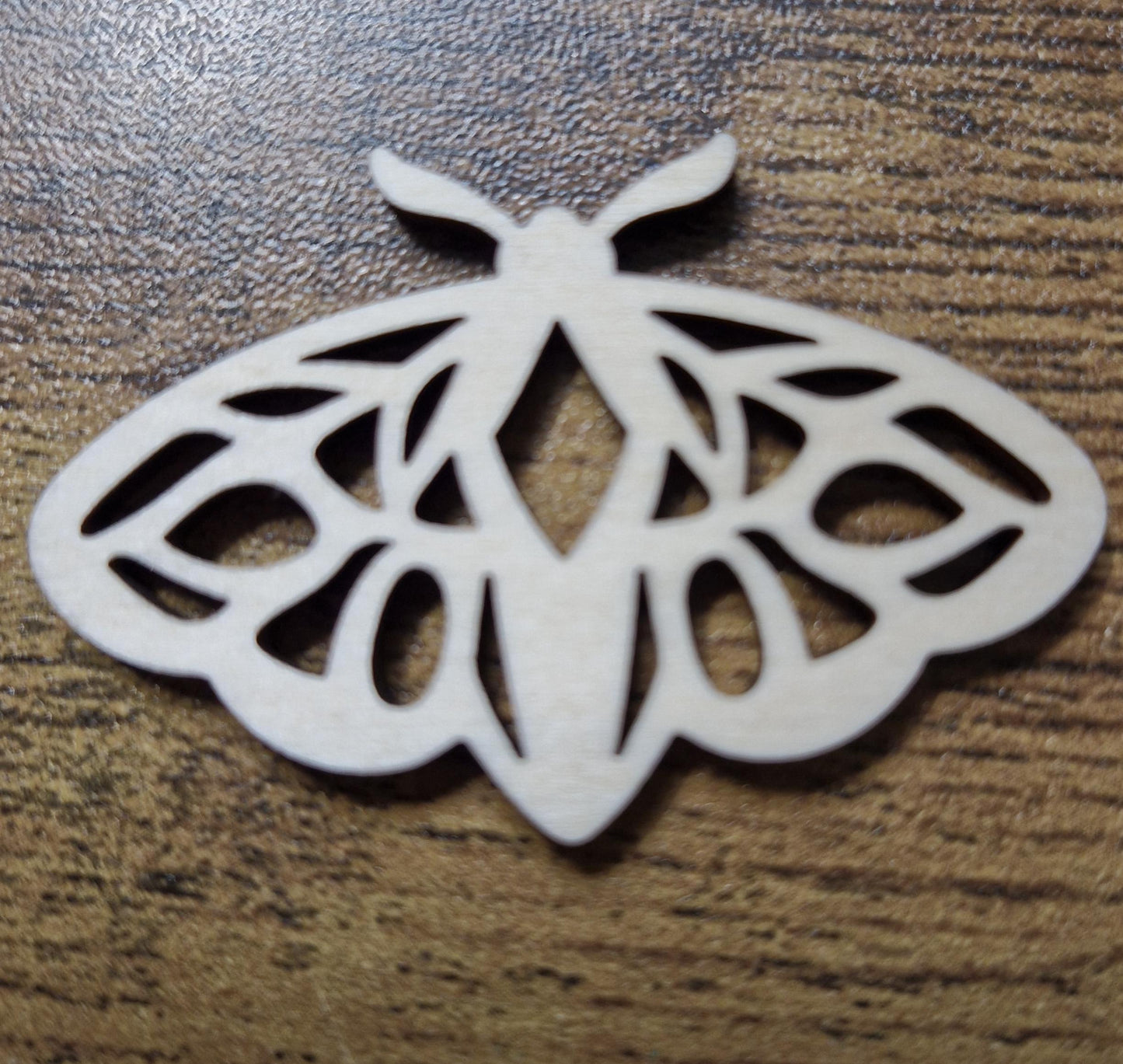 Laser Cut Wooden Moth Craft Shapes Pack of 10